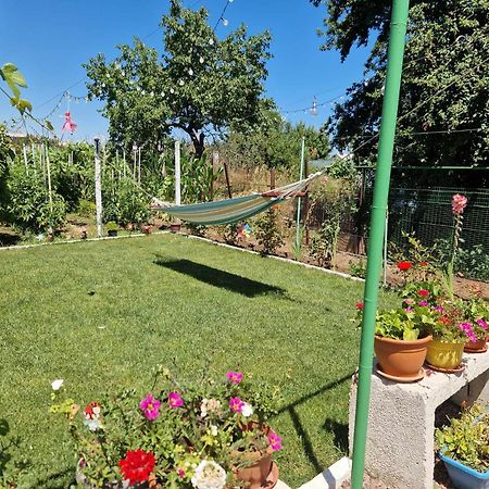 Casa Simona Hotel Două Mai Kültér fotó