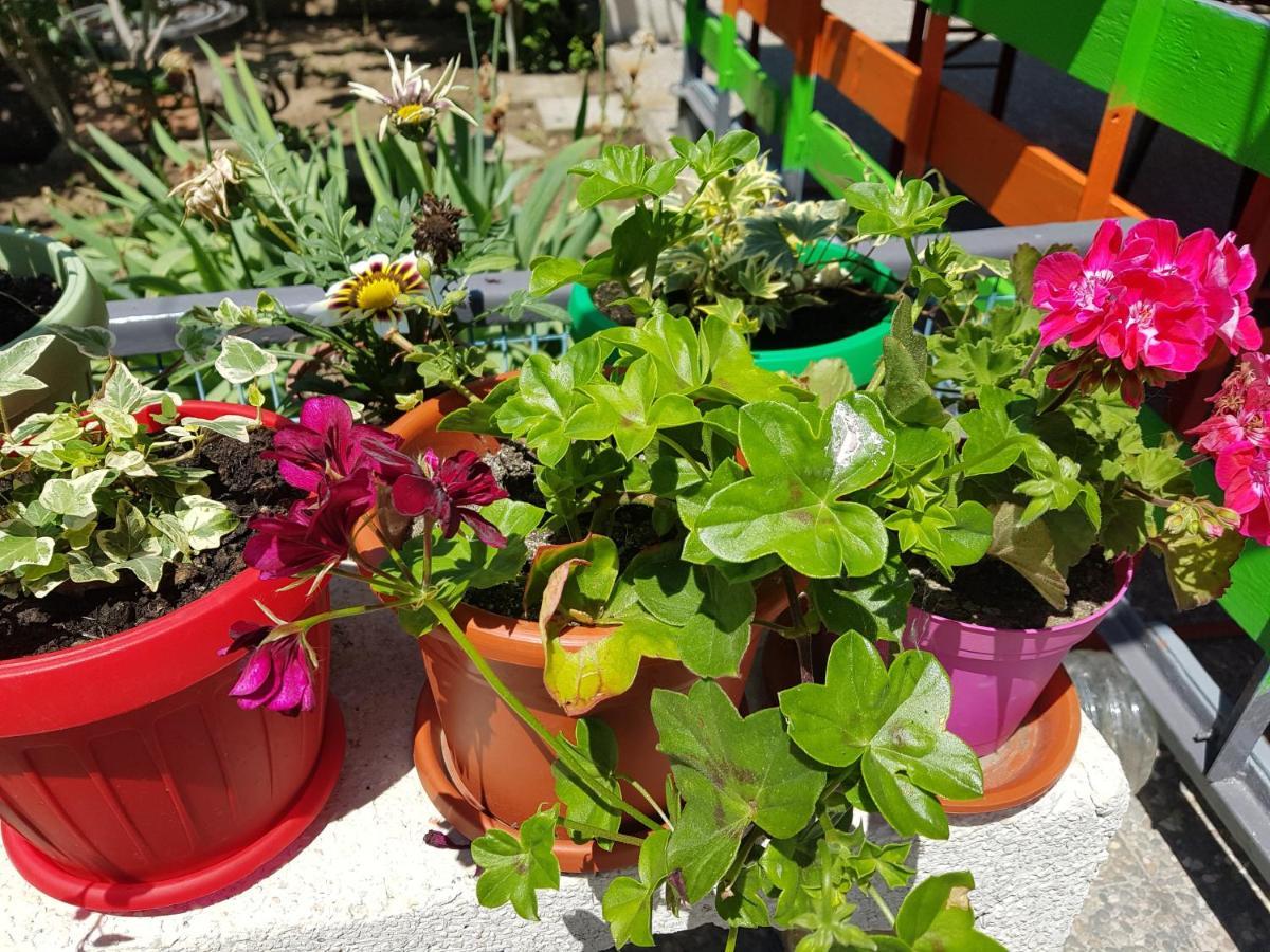Casa Simona Hotel Două Mai Kültér fotó