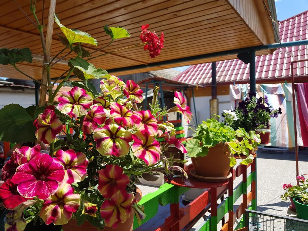 Casa Simona Hotel Două Mai Kültér fotó
