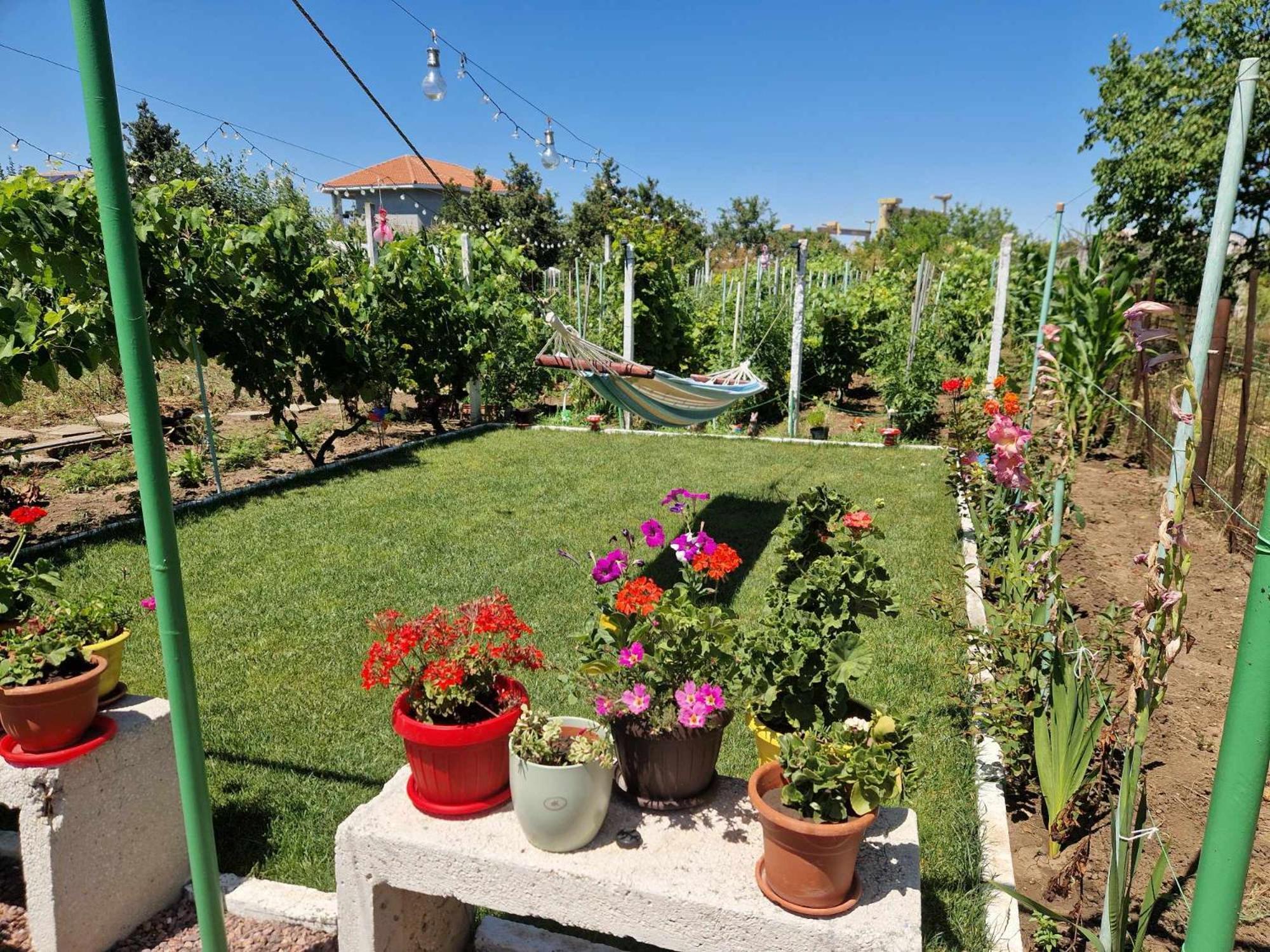 Casa Simona Hotel Două Mai Kültér fotó